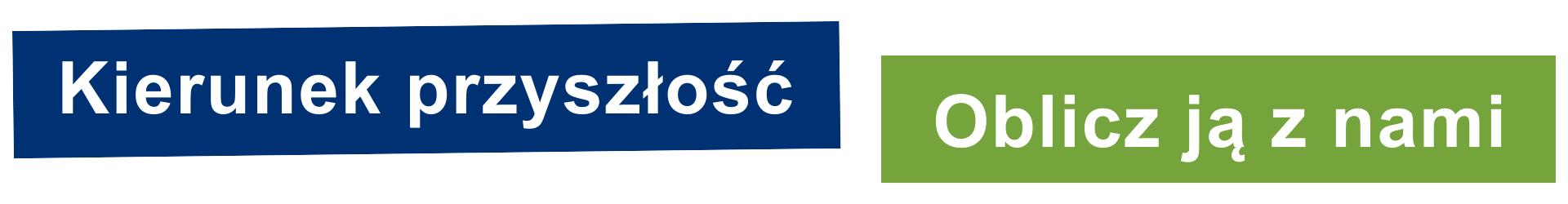 Kierunek przyszłość - oblicz ją z nami